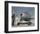 McDonnell XF-85 Goblin-null-Framed Art Print