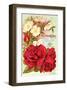 Mcgregor Bros. Floral Gems-null-Framed Premium Giclee Print