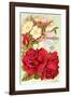 Mcgregor Bros. Floral Gems-null-Framed Art Print