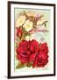 Mcgregor Bros. Floral Gems-null-Framed Art Print