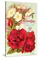 Mcgregor Bros. Floral Gems-null-Stretched Canvas