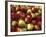 Mcintosh Apples-Steve Terrill-Framed Photographic Print