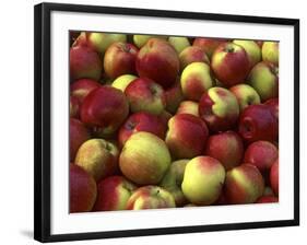 Mcintosh Apples-Steve Terrill-Framed Photographic Print