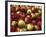 Mcintosh Apples-Steve Terrill-Framed Photographic Print