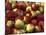 Mcintosh Apples-Steve Terrill-Mounted Photographic Print