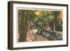 McKee Jungle Gardens, Vero Beach, Florida-null-Framed Art Print