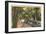 McKee Jungle Gardens, Vero Beach, Florida-null-Framed Art Print