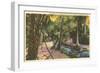 McKee Jungle Gardens, Vero Beach, Florida-null-Framed Art Print