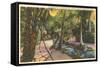 McKee Jungle Gardens, Vero Beach, Florida-null-Framed Stretched Canvas