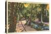 McKee Jungle Gardens, Vero Beach, Florida-null-Stretched Canvas