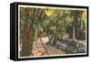 McKee Jungle Gardens, Vero Beach, Florida-null-Framed Stretched Canvas