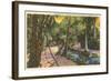 McKee Jungle Gardens, Vero Beach, Florida-null-Framed Art Print