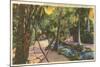 McKee Jungle Gardens, Vero Beach, Florida-null-Mounted Art Print