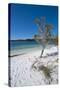 Mckenzie Lake, Fraser Island, UNESCO World Heritage Site, Queensland, Australia, Pacific-Michael Runkel-Stretched Canvas