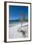 Mckenzie Lake, Fraser Island, UNESCO World Heritage Site, Queensland, Australia, Pacific-Michael Runkel-Framed Photographic Print