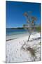 Mckenzie Lake, Fraser Island, UNESCO World Heritage Site, Queensland, Australia, Pacific-Michael Runkel-Mounted Photographic Print