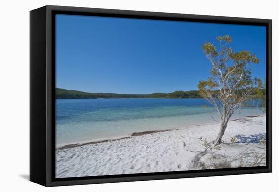 Mckenzie Lake, Fraser Island, UNESCO World Heritage Site, Queensland, Australia, Pacific-Michael Runkel-Framed Stretched Canvas