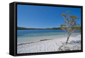 Mckenzie Lake, Fraser Island, UNESCO World Heritage Site, Queensland, Australia, Pacific-Michael Runkel-Framed Stretched Canvas