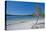 Mckenzie Lake, Fraser Island, UNESCO World Heritage Site, Queensland, Australia, Pacific-Michael Runkel-Stretched Canvas