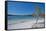 Mckenzie Lake, Fraser Island, UNESCO World Heritage Site, Queensland, Australia, Pacific-Michael Runkel-Framed Stretched Canvas