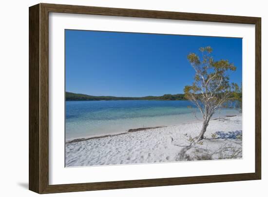 Mckenzie Lake, Fraser Island, UNESCO World Heritage Site, Queensland, Australia, Pacific-Michael Runkel-Framed Photographic Print