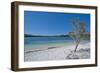 Mckenzie Lake, Fraser Island, UNESCO World Heritage Site, Queensland, Australia, Pacific-Michael Runkel-Framed Photographic Print