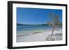 Mckenzie Lake, Fraser Island, UNESCO World Heritage Site, Queensland, Australia, Pacific-Michael Runkel-Framed Photographic Print