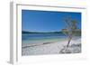 Mckenzie Lake, Fraser Island, UNESCO World Heritage Site, Queensland, Australia, Pacific-Michael Runkel-Framed Photographic Print