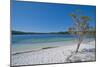 Mckenzie Lake, Fraser Island, UNESCO World Heritage Site, Queensland, Australia, Pacific-Michael Runkel-Mounted Photographic Print