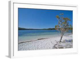 Mckenzie Lake, Fraser Island, UNESCO World Heritage Site, Queensland, Australia, Pacific-Michael Runkel-Framed Photographic Print