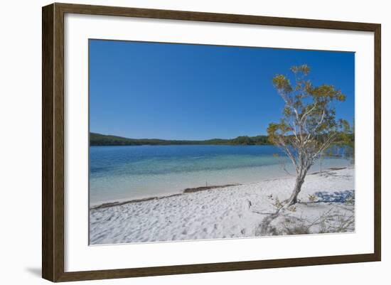 Mckenzie Lake, Fraser Island, UNESCO World Heritage Site, Queensland, Australia, Pacific-Michael Runkel-Framed Photographic Print