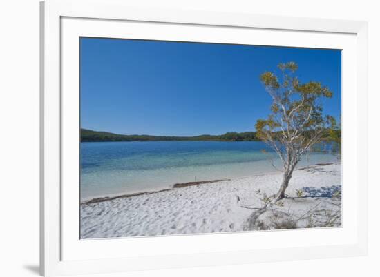 Mckenzie Lake, Fraser Island, UNESCO World Heritage Site, Queensland, Australia, Pacific-Michael Runkel-Framed Photographic Print