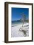 Mckenzie Lake, Fraser Island, UNESCO World Heritage Site, Queensland, Australia, Pacific-Michael Runkel-Framed Photographic Print