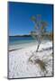 Mckenzie Lake, Fraser Island, UNESCO World Heritage Site, Queensland, Australia, Pacific-Michael Runkel-Mounted Photographic Print