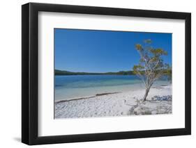 Mckenzie Lake, Fraser Island, UNESCO World Heritage Site, Queensland, Australia, Pacific-Michael Runkel-Framed Photographic Print