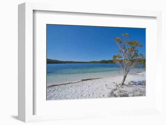 Mckenzie Lake, Fraser Island, UNESCO World Heritage Site, Queensland, Australia, Pacific-Michael Runkel-Framed Photographic Print