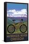 McKenzie River, Bicycle Scene-Lantern Press-Framed Stretched Canvas