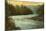 McKenzie River, Oregon-null-Mounted Art Print