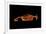 McLaren F1 LM-Octavian Mielu-Framed Art Print