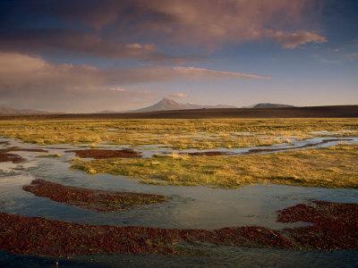 Landscape in the Isluga Area of the Atacama Desert, Chile, South America