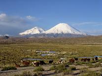 Landscape in the Isluga Area of the Atacama Desert, Chile, South America-Mcleod Rob-Mounted Photographic Print