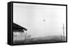 McMinnville UFO Sighting, 1950-Science Source-Framed Stretched Canvas