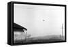 McMinnville UFO Sighting, 1950-Science Source-Framed Stretched Canvas