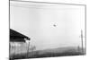 McMinnville UFO Sighting, 1950-Science Source-Mounted Giclee Print