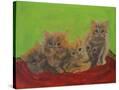 Stretched Canvas