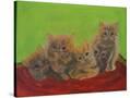 Stretched Canvas