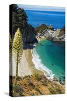 McWay Cove, Julia Pfeiffer Burns State Park, Big Sur, California, USA-Russ Bishop-Stretched Canvas