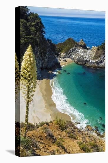 McWay Cove, Julia Pfeiffer Burns State Park, Big Sur, California, USA-Russ Bishop-Stretched Canvas
