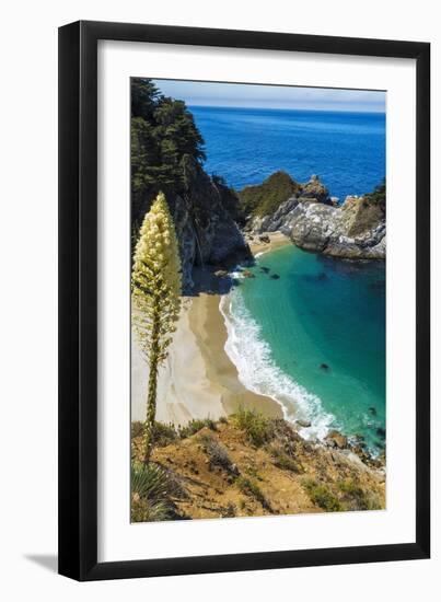 McWay Cove, Julia Pfeiffer Burns State Park, Big Sur, California, USA-Russ Bishop-Framed Photographic Print