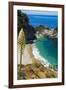 McWay Cove, Julia Pfeiffer Burns State Park, Big Sur, California, USA-Russ Bishop-Framed Premium Photographic Print